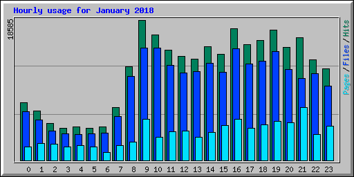 Hourly usage for January 2018